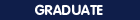 Graduate courses taught by Dr. Boetticher